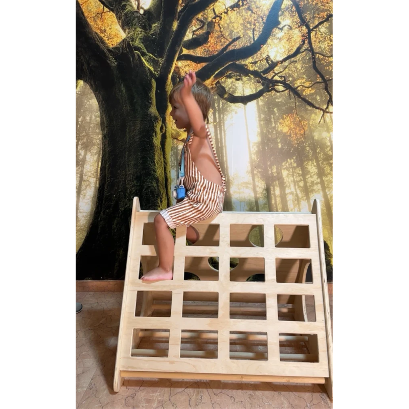 Cubo de escalada / triangulo de actividad infantil