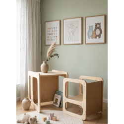 Conjunto Mesa y Silla Infantil  regulable Montessori